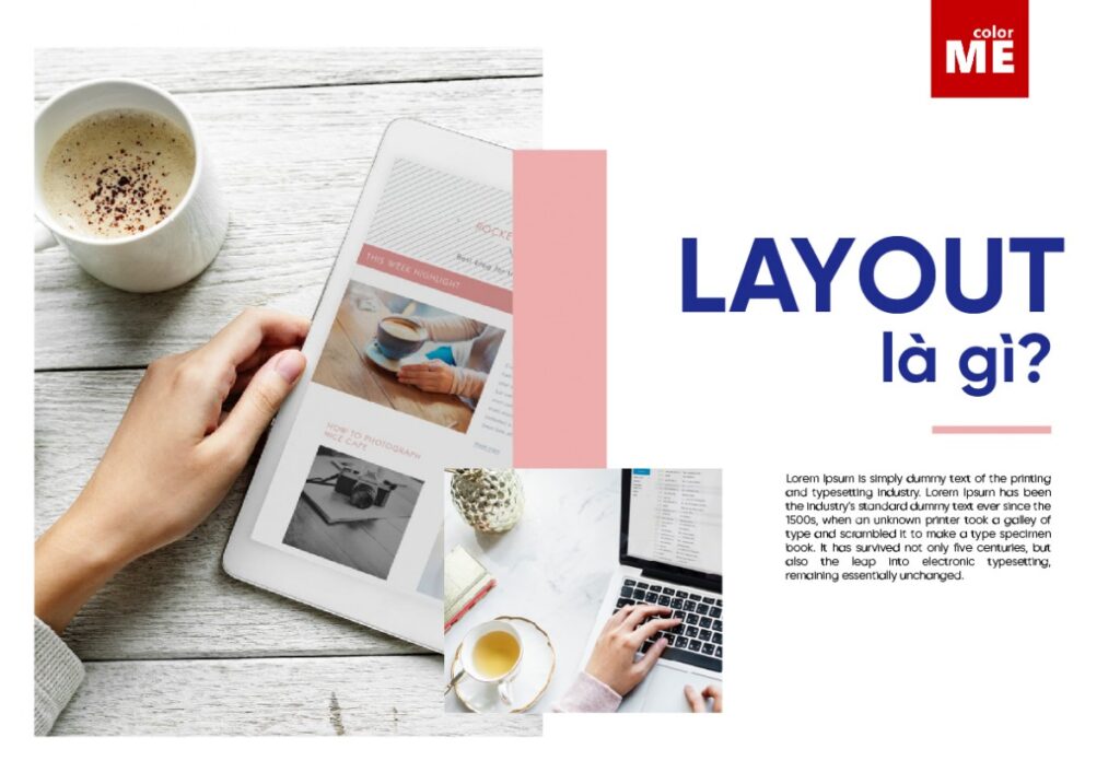 Layout là gì?